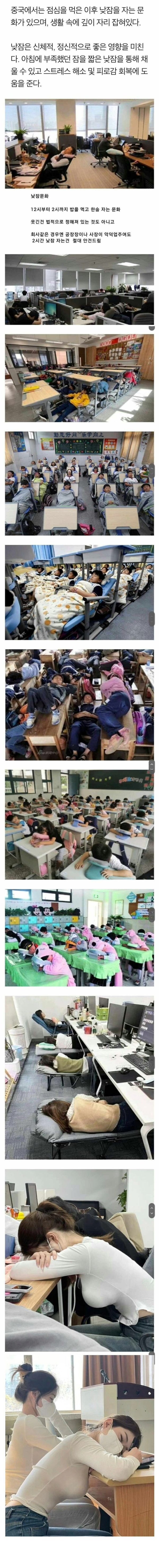 대륙의 점심시간 문화