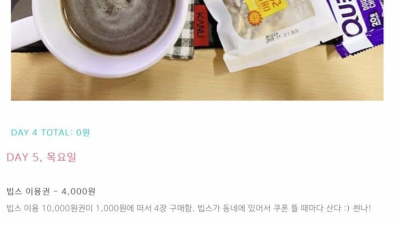 일주일 만원으로 생활 가능 하다는 누나