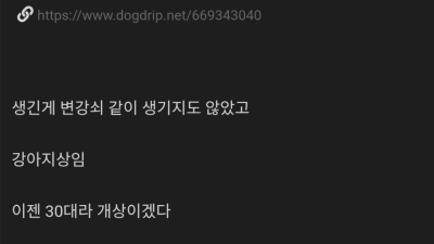 유부녀만 꼬인다는 디시인
