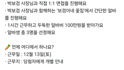 시급 100만원 당근알바
