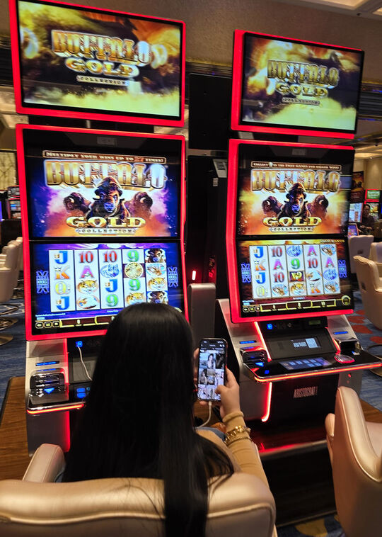 3ffc9804c2096b9f9eda3341bb6a0731_1765181389_9428.jpg 3ffc9804c2096b9f9eda3341bb6a0731_1765181389_9428.jpg