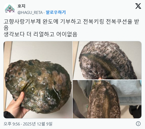 완도에 기부하면 주는 굿즈