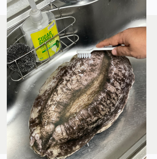 완도에 기부하면 주는 굿즈