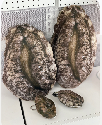 완도에 기부하면 주는 굿즈