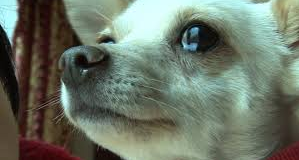 fe69c441c32a3f6bb0f0d80cd4e77e0f_1765863255_4576.png fe69c441c32a3f6bb0f0d80cd4e77e0f_1765863255_4576.png