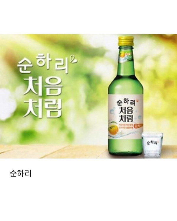 90년대생 술 입문 과정