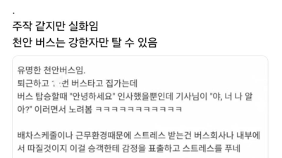 천안 버스 레전드 썰
