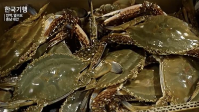 꽃게사면 톱밥이 같이 오는 이유