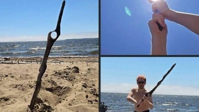 남자라면 절대로 못지나치는 나뭇가지