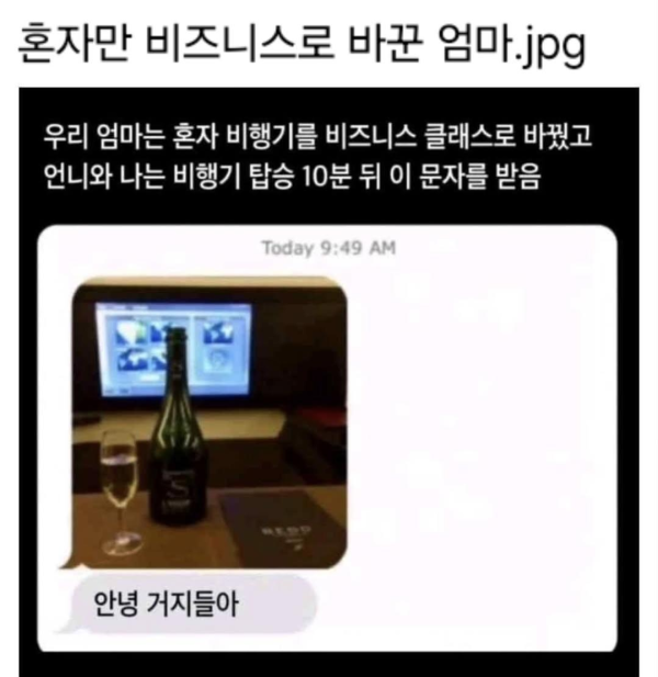 혼자만 비즈니스 탄 엄마