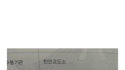 징역 갔다오면 현타오는 이유