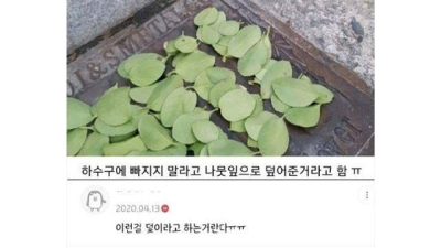 고양이를 위한 초등학생들의 배려