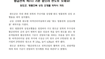 완도에 있는 2억짜리 황금동상