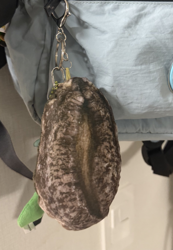 완도에 기부하면 주는 굿즈