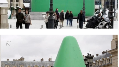 24m 트리가 철거당한 이유