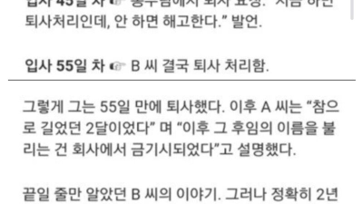 입사 8주만에 회사 짤린 사람