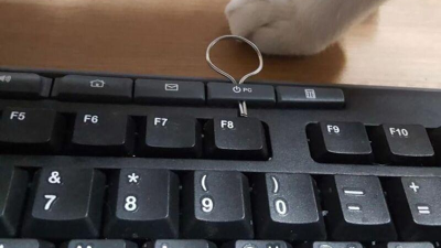 키보드에 안전핀 꼽은 이유