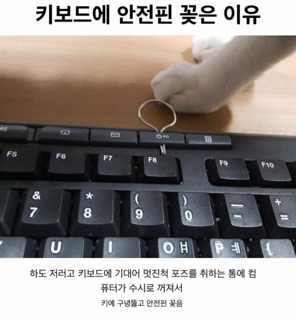 키보드에 안전핀 꼽은 이유