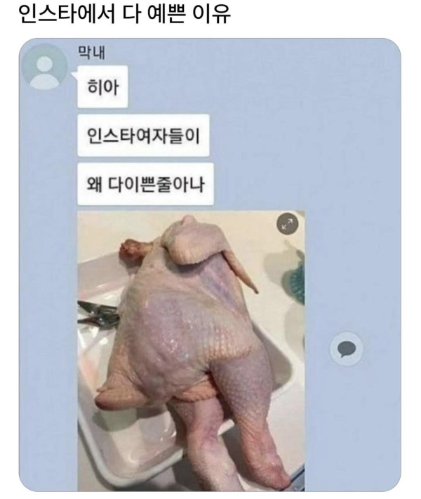 인스타 여자들이 다 예쁜이유
