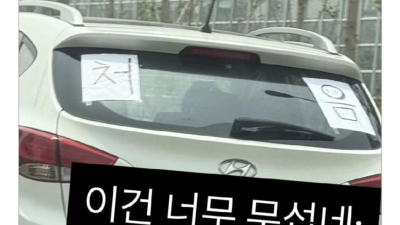 무서운 초보운전 표지