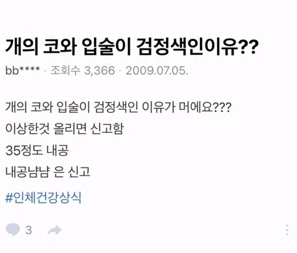 강아지의 코와 입술이 검정색인 이유