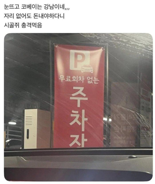 시골사람이 서울와서 눈뜨고 코베인 이유