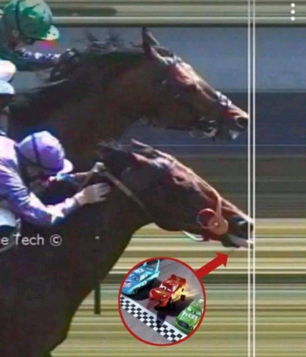 영화가 구라가 아닌 이유