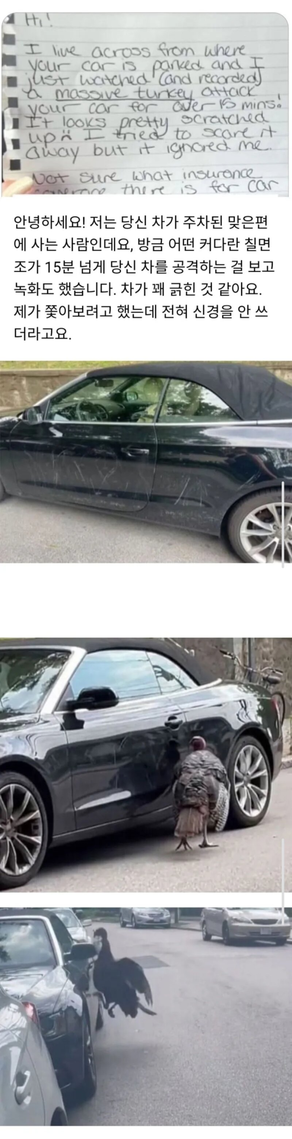 누가 내 차를 긁고갔는데 범인이...