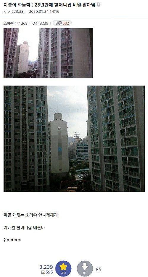 할머니 집에 갔다가 비밀을 알아낸 디시인