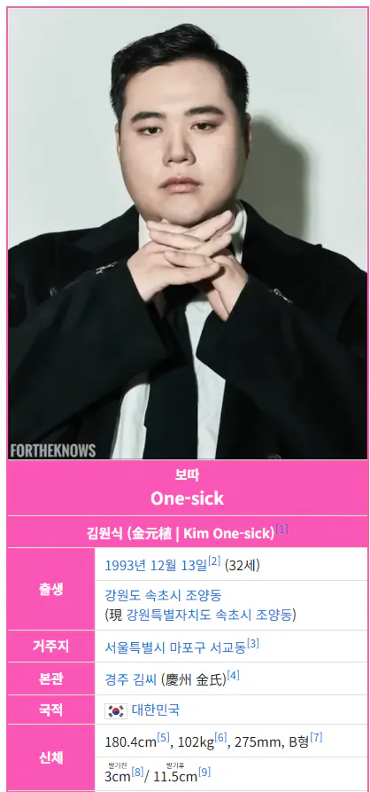 보따 나무위키 근황