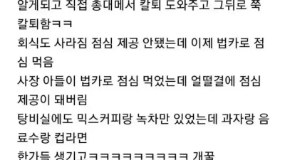 사장 아들이 낙하산으로 들어왔는데