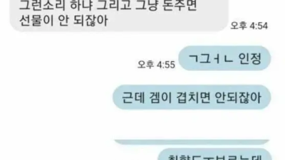 플스 몰래 구매한 매형