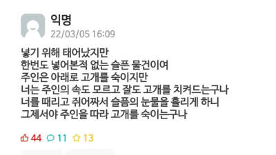 현타 온 서울대생