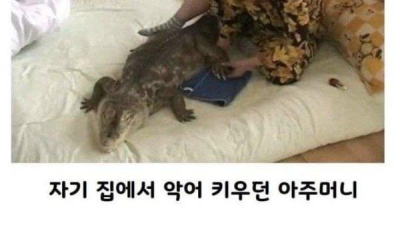 전설의 부산 3대 드루이드