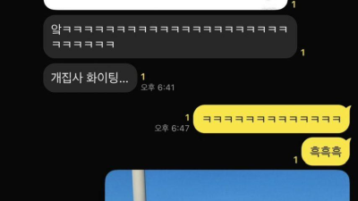 견/묘 집사의 겨울아침