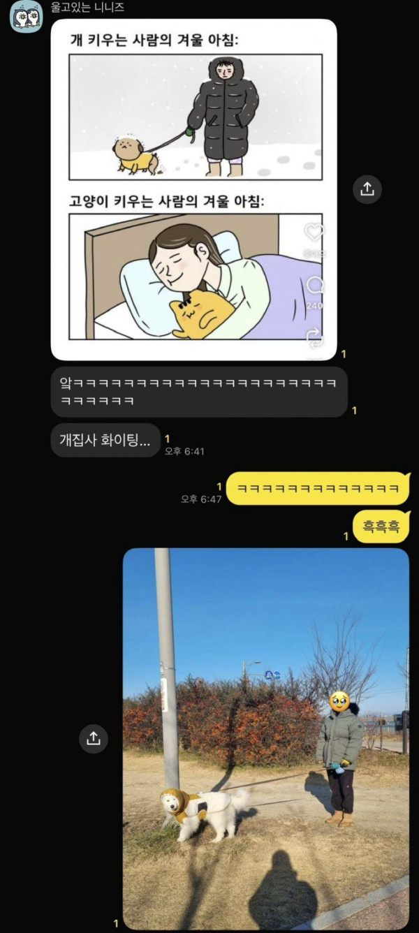 견/묘 집사의 겨울아침