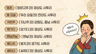알고보니 사투리였던 단어들