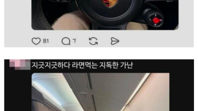 요즘 욕 먹고 있다는 가난 밈