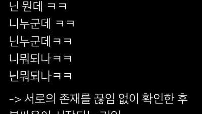 경상도 싸움의 특징