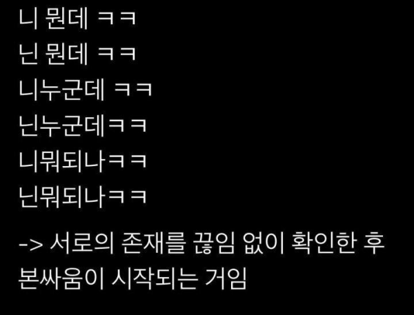 경상도 싸움의 특징