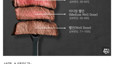 스테이크 거품썰