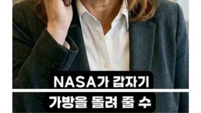 경매로 110만원 주고 산 가방의 정체