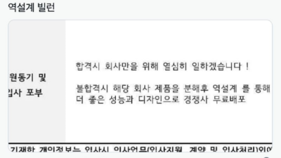 합격을 안겨준 자소서