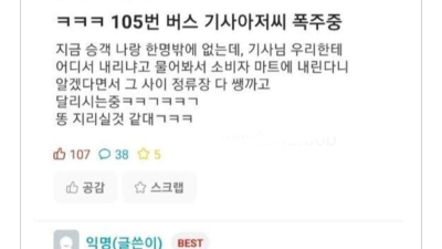 버스기사가 갑자기 폭주하는 이유