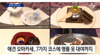 요즘 오마카세 근황