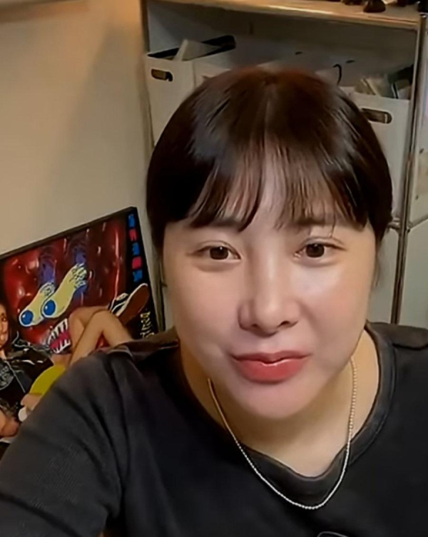 연예인 서인영 근황