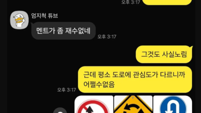 면허 필기공부 하기 싫은 누나