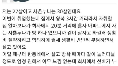 사촌누나랑 단 둘이 산다는 디시인