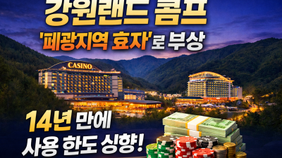 강원랜드 콤프, 폐광지역 ‘숨은 효자’로 부상