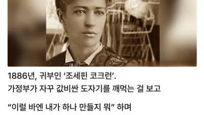 식기세척기가 발명된 이유